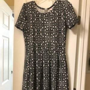 Lularoe Amelia